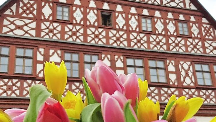 Mit einem Meer an Blüten versuchen die Eberner, ihre Stadt schöner zu machen. Foto: Eckehard Kiesewetter