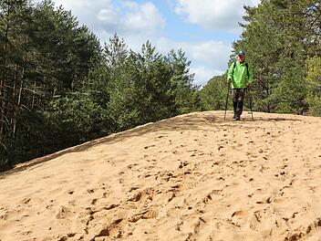 Fühlt sich an wie ein Kurzurlaub an der Ostsee: Bei der ersten Themenwanderung führt uns Andreas Schettler über Frankens Sanddünen. Barbara Herbst