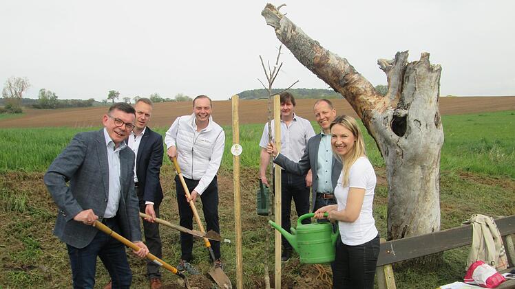 Die Allianz Fränkisches Saaletal und ihr Sponsor, die  Deutsche Dienstrad GmbH beim gemeinsamen Anpflanzen (von links):  Allianz-Vorsitzender Armin Warmuth, Stellvertreter Mario Götz, Unternehmer Maximilian Diem, Allianz-Manager Holger Becker, Allianz-Vize-Vorsitzender Johannes Krumm und die Marketing-Verantwortliche der Deutschen Dienstrad, Christina Bräutigam.