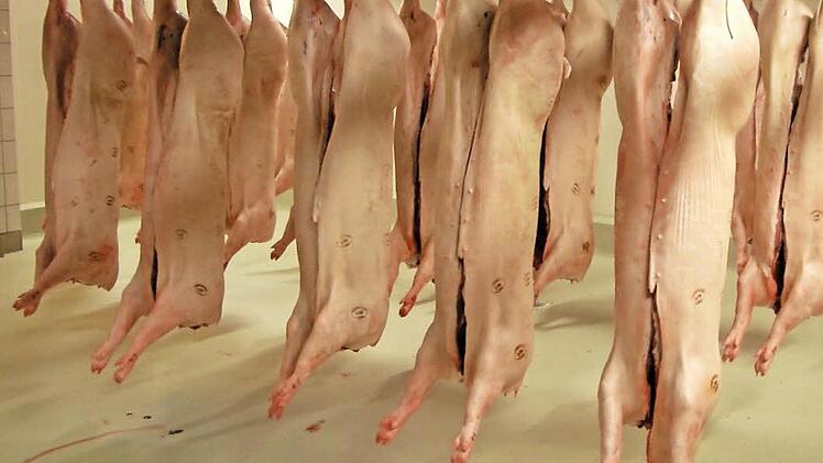 Schweinehälften warten auf den Abtransport: Das Symbolbild wurde im Kulmbacher Schlachthof gemacht.  Foto: pr.