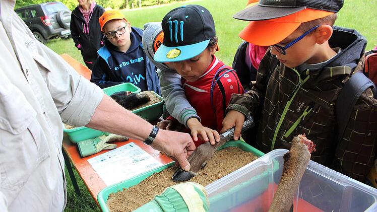 Die Kinder beim Ausprobieren der Trittsiegel.