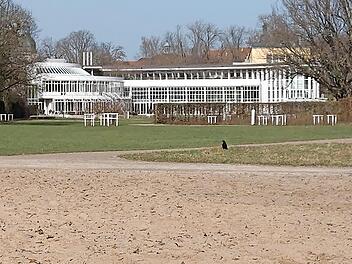 Der Sand vom "Strand" ist noch da, aber ob es dieses Jahr wieder einen "Stadtstrand" am Sintflutbrunnen im Rosengarten geben wird, ist noch nicht entschieden.