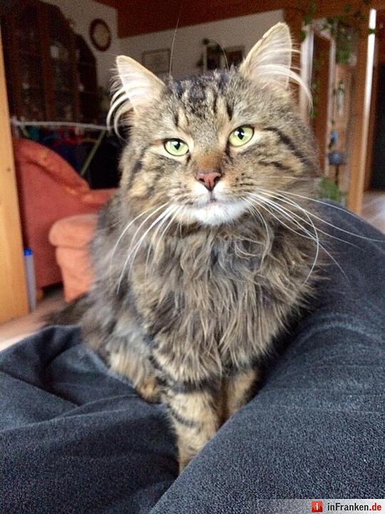 Foto: Samira Jeschek