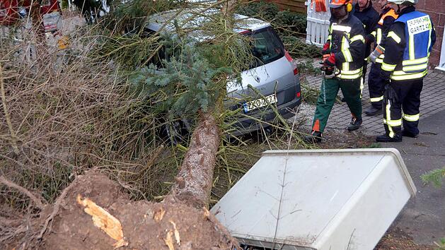 In der Bad Kissinger Sch&ouml;nbornstra&szlig;e besch&auml;digte ein umfallender Baum einen Stromkasten. Foto: Peter Rauch