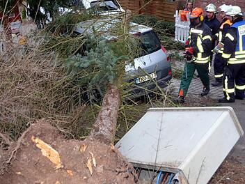 In der Bad Kissinger Schönbornstraße beschädigte ein umfallender Baum einen Stromkasten. Foto: Peter Rauch