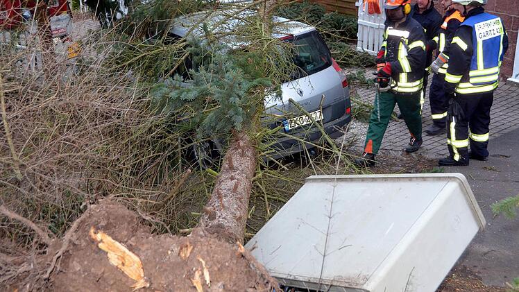 In der Bad Kissinger Schönbornstraße beschädigte ein umfallender Baum einen Stromkasten. Foto: Peter Rauch