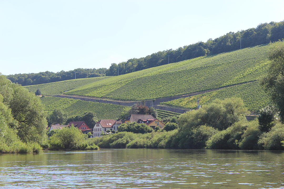 Kanutour auf dem Altmain
