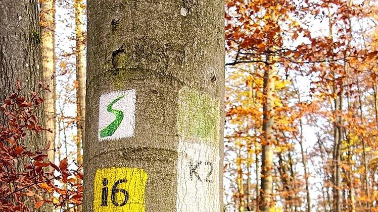 134662531_246164606857638_3436930789354692492_n