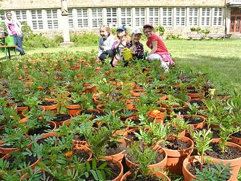 Jetzt sind alle Blumentöpfe besetzt. Unser Bild zeigt von links Maja, Lilli, Luna und Leonie mitten in den frisc h bepflanzten Blumentöpfen.  Fotos: Brigitte Krause