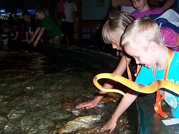Max Gatzke und Nadja Schreiber durften bei der Ferienpassaktion  im Meeresaquarium Zella-Mehlis sogar Fische streicheln.  Foto: Archiv