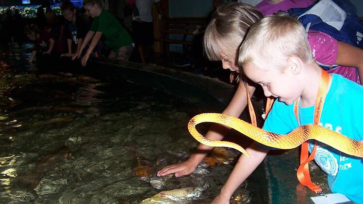 Max Gatzke und Nadja Schreiber durften bei der Ferienpassaktion  im Meeresaquarium Zella-Mehlis sogar Fische streicheln.  Foto: Archiv
