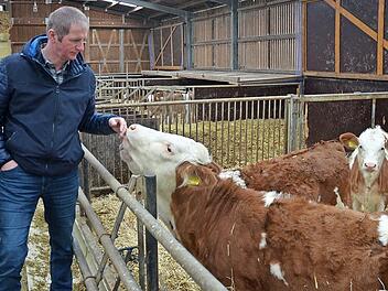 Harald Reblitz streichelt seine Jungrinder.