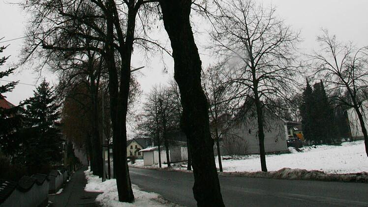 Am heutigen Mittwoch ab 8 Uhr werden die alten Bäume (links) der Lindenallee an der Bahnhofstraße in Stadtsteinach gefällt. Foto: Sonja Adam