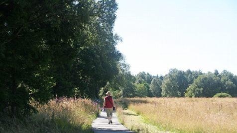 Im Schwarzen Moor.
