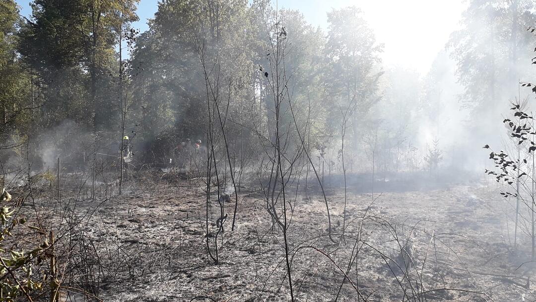 Waldbrand im Kreis Haßberge: Feuerwehr kämpft mit Großaufgebot gegen die Flammen