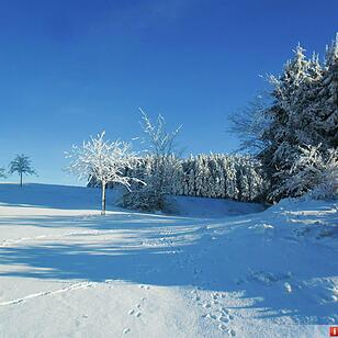 Zwölf-Apostel-Weg bei Geroldsgrün