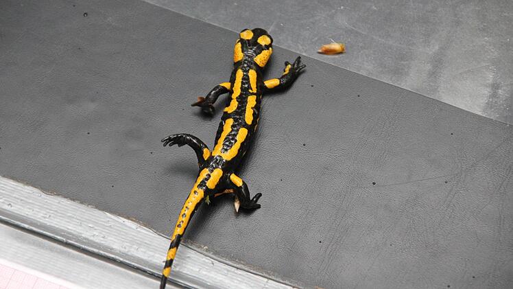 Und ab dafür: Genug Fotos, ich mach mich vom Acker.