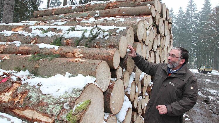Die Holzernte im Frankenwald ist für Forstbetriebsleiter Peter Hagemann sehr wichtig, denn sie stellt den Motor für den Waldumbau dar.  Foto: Friedwald Schedel