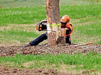 Die bisherigen Preise für Holz aus dem Kommunalwald bleiben unverändert.  Foto: Gerd Schaar/Archiv