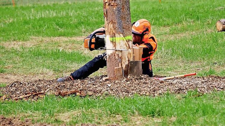 Die bisherigen Preise für Holz aus dem Kommunalwald bleiben unverändert.  Foto: Gerd Schaar/Archiv