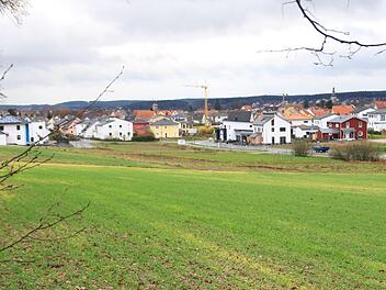 Das Baugebiet Häckersteig wird um einen Abschnitt VI erweitert. Ab 2019 soll das Ackerland im Vordergrund bebaut werden. Die Hecke (links) bleibt stehen.  Foto: Andreas Dorsch