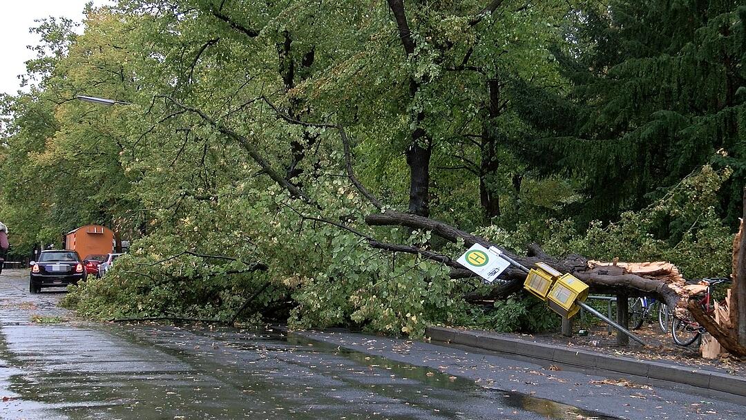 Sturm Fabienne wütet in Unterfranken: Kirchturmspitze abgerissen, Strommasten umgeknickt