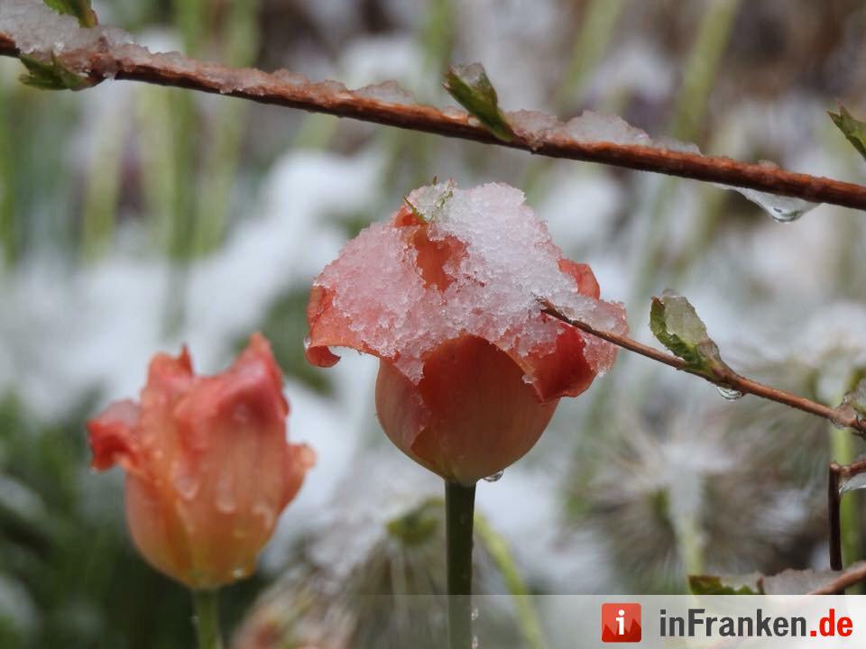 Franken: Ostermontag versinkt im Schnee