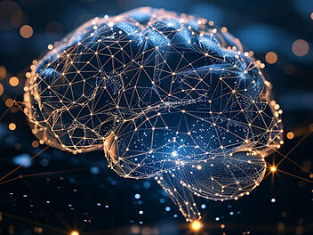Erlangen: Informatiker der FAU unterstützen Neuroforschung – 320.000 Euro für neues Projekt