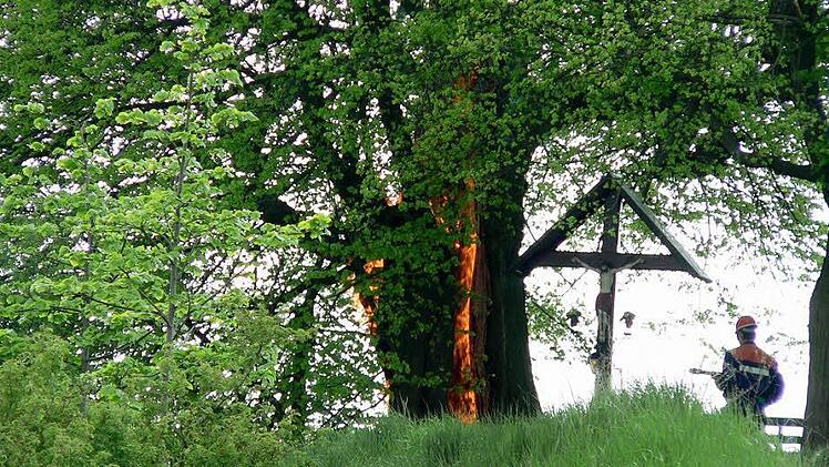 Ob die Lisberger Linde gefällt werden muss, entscheidet eine Fachfirma in den nächsten Tagen. Bis dahin bleibt das Areal um das Naturdenkmal abgesperrt. Wie durch einen Kamin gelangten die Flammen in dem hohlen Stamm ganz weit nach oben. Der FT hat den mehrere hundert Jahre alten Baum 2005 mit einer Artikel-Serie durchs Jahr begleitet - und hofft, dass dieses Bild nicht der Auftakt zu einer Fortsetzung aus traurigem Anlass ist...  Foto: Berthold Litzlfelder