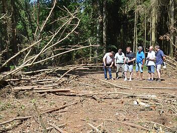 Anschauungsbeispiel tote Fichte (von links): Wolfgang Schultheiß, Manfred Herter, Michael Busch, Waldbesitzer Günter Carl, Martin Böhm und Ralf Keller.Rainer Lutz