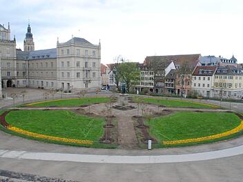 Alle Kugelahorne stehen. Das Rondel am Coburger Schlossplatz ist fertig. Fotos: Christoph Wiedemann