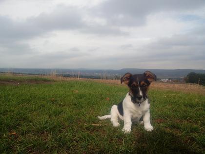 Foto: schruppi