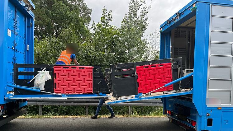 A70 bei Stadelhofen: Schweinetransporter hat Panne auf Fahrbahn