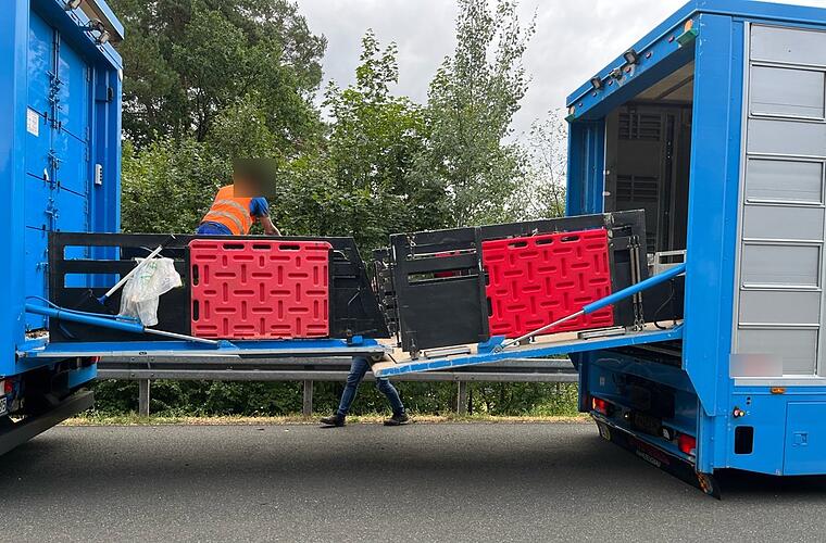 A70 bei Stadelhofen: Schweinetransporter hat Panne auf Fahrbahn