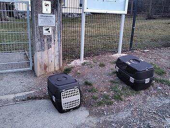 Fund vor Tierheim Hof sorgt f&uuml;r Entsetzen - "ersch&ouml;pft und ver&auml;ngstigt"