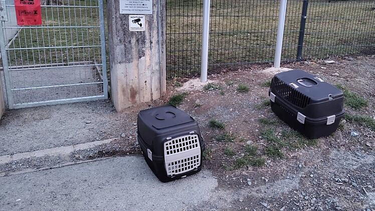 Tierheim Hof entsetzt von Fund vor der T&uuml;r - "trauriges Beispiel"