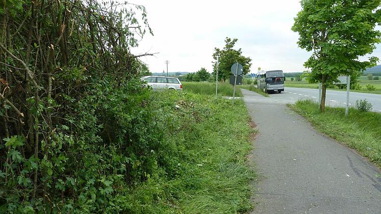 Die gestutzte Hecke soll Rad- und Autofahrern eine bessere Sicht geben. Foto: privat