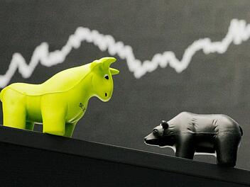 Bulle oder Bär - wer behält die Oberhand? Nach dem katastrophalen Jahresstart fragen sich die Anleger, wie es an der Börse weitergeht. Kulmbacher Experten geben Antworten. Foto: dpa-Bildfunk/Boris Roessler
