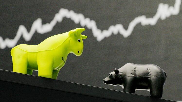 Bulle oder Bär - wer behält die Oberhand? Nach dem katastrophalen Jahresstart fragen sich die Anleger, wie es an der Börse weitergeht. Kulmbacher Experten geben Antworten. Foto: dpa-Bildfunk/Boris Roessler