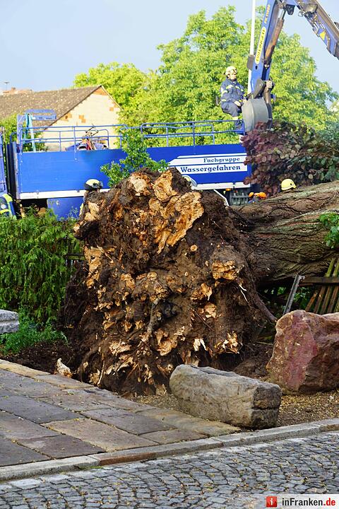 Baum kracht auf Haus in Bammersdorf