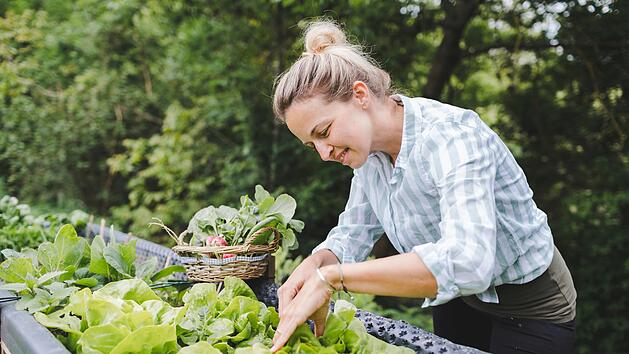 Hochbeet bauen, anlegen und bepflanzen: Alles, was du wissen musst
