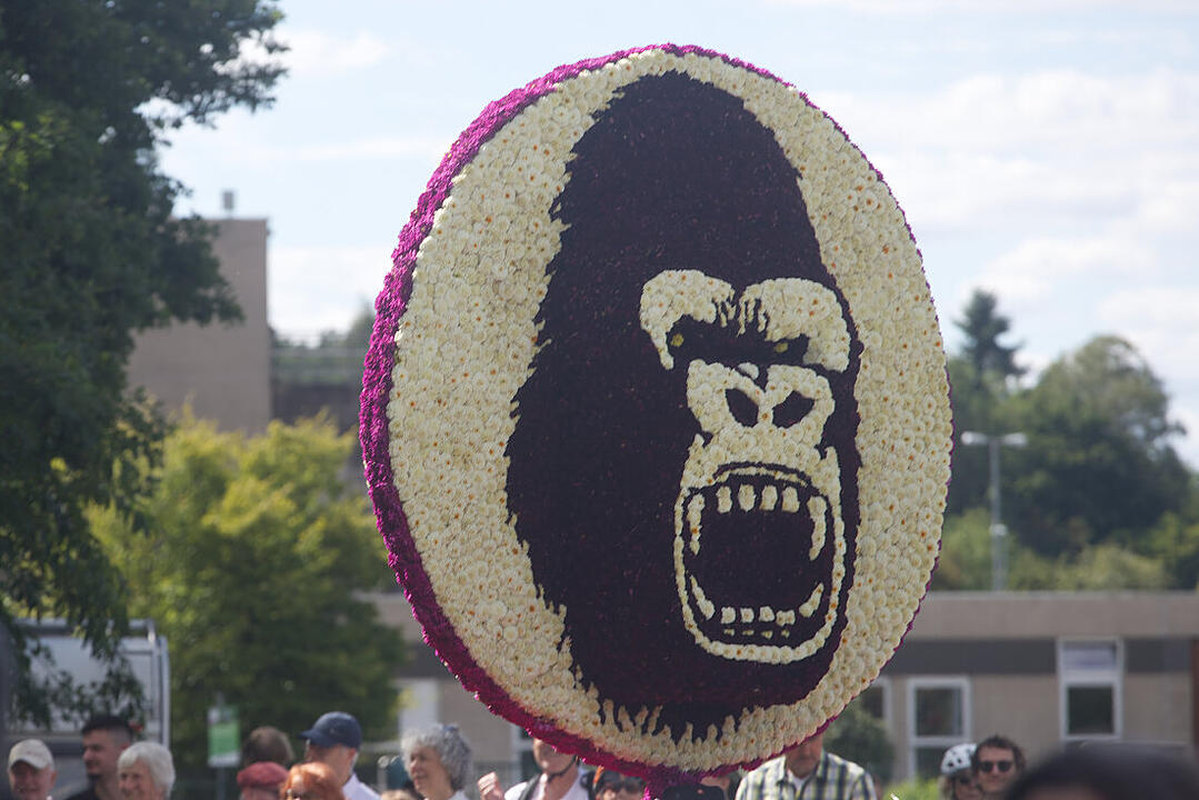 Das Fest der 500.000 Dahlien.