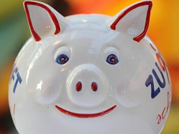 Um das gemeindliche Haus am Hohberg zu sanieren, muss die Gemeinde Guttenberg ans Sparschwein ran. Symbolfoto: Fredrik von Erichsen/dpa