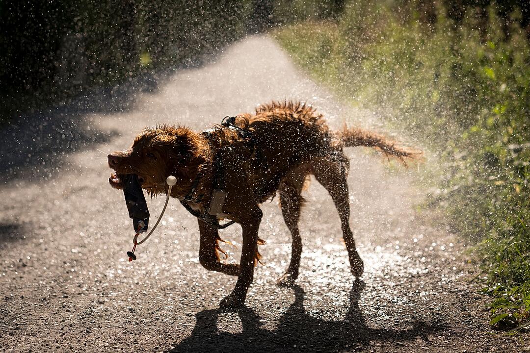 Wetter in der Schweiz