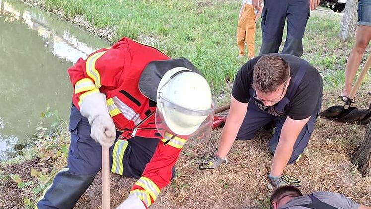 Tierische Rettung in Oberreichenbach: Hund steckt in Rattenbau fest - Besitzer scheitert bei Rettungsversuch