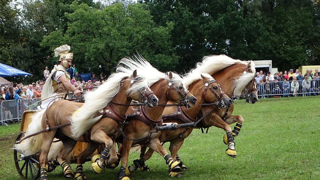 Volksfestzeit in der Oberpfalz
