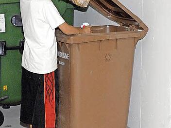 Seit 1. Januar ist die getrennte Entsorgung von  Biomüll eigentlich gesetzlich geregelt. Im Landkreis Kronach gibt es die braune Tonne bislang allerdings noch nicht. Foto: Ronald Rinklef