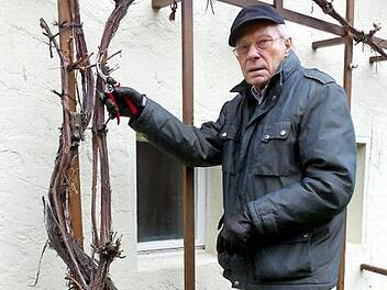 Friedrich Müller schneidet kurz vor seinem 90. Geburtstag seinen Rebstock an der Hauswand.  Foto: Dieter Hübner