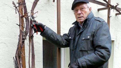 Friedrich Müller schneidet kurz vor seinem 90. Geburtstag seinen Rebstock an der Hauswand.  Foto: Dieter Hübner