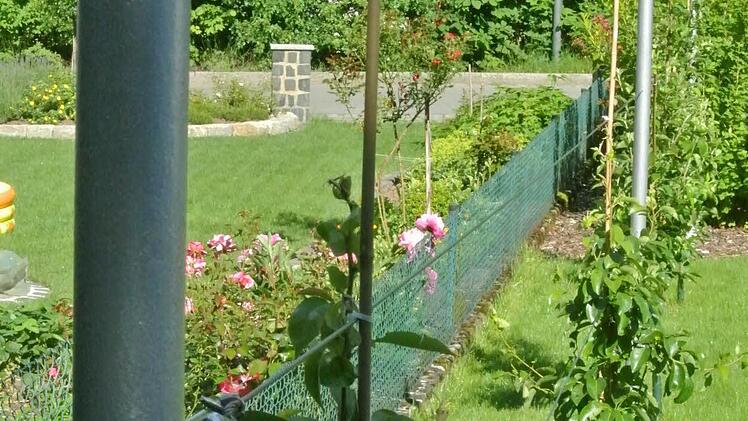 Das von Markus Metz gepflegte Spalier